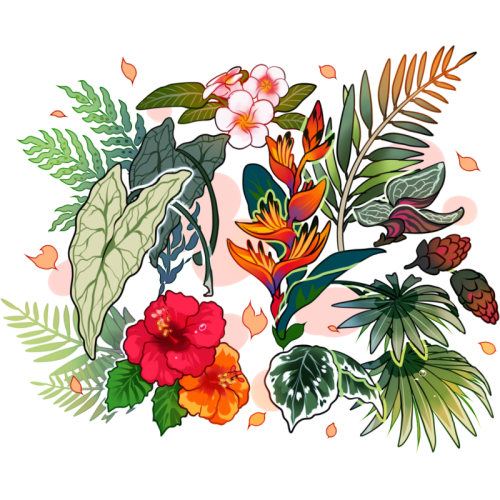 Tropical Flowers