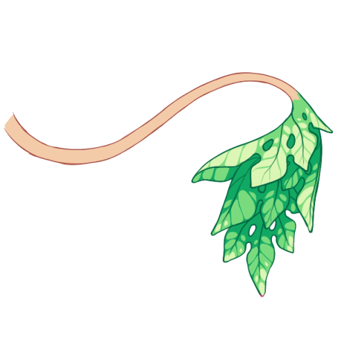 Tropical Leaf Tail