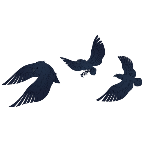 Trailing Ravens