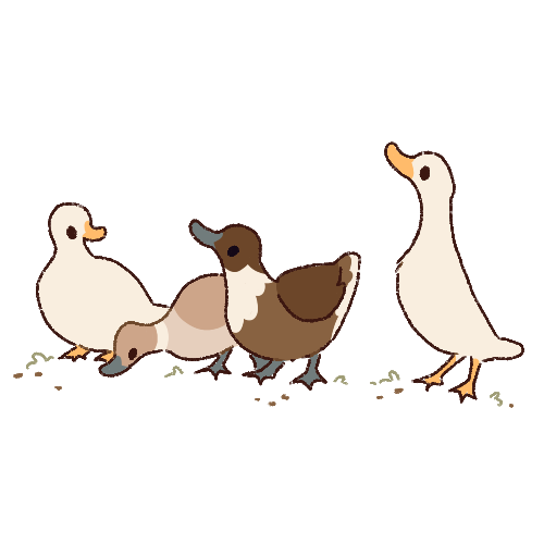 Trailing Ducks