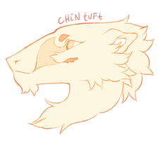 Chin Tuft Head Shape (Ren)