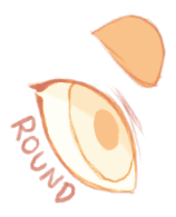Round Pupil Shape (Ren)