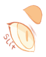 Slit Pupil Shape (Ren)