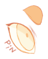 Pin Pupil Shape (Ren)